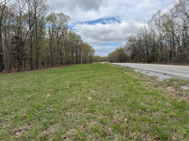0 Summertown Hwy Property Photo 3