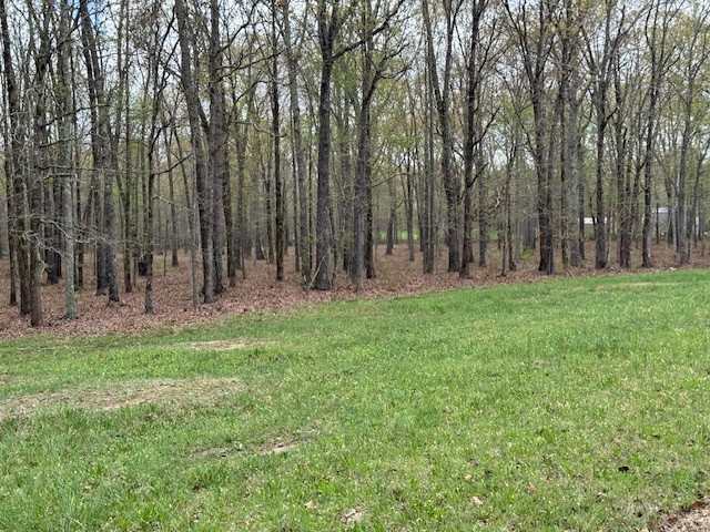 0 Summertown Hwy Property Photo 5