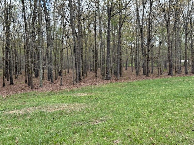 0 Summertown Hwy Property Photo 6