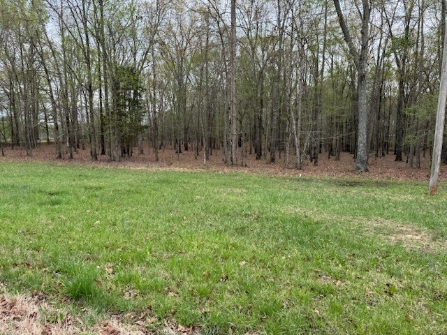 0 Summertown Hwy Property Photo 7
