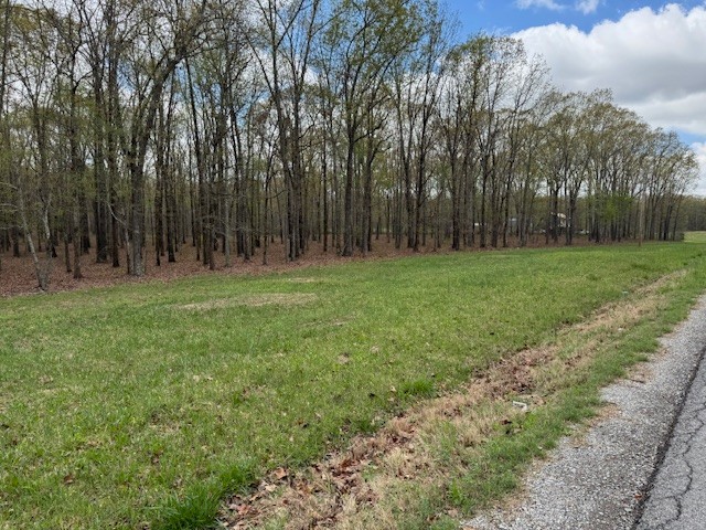 0 Summertown Hwy Property Photo 8