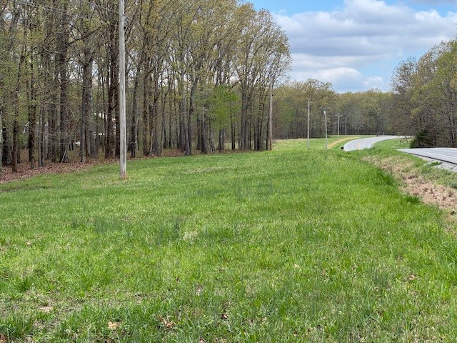 0 Summertown Hwy Property Photo 10
