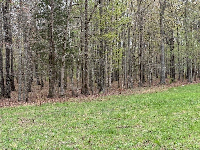 0 Summertown Hwy Property Photo 11
