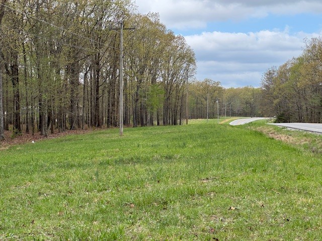 0 Summertown Hwy Property Photo 12