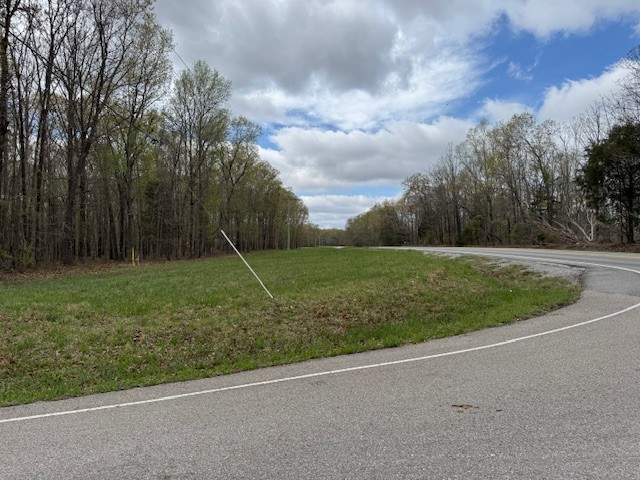 0 Summertown Hwy Property Photo 13