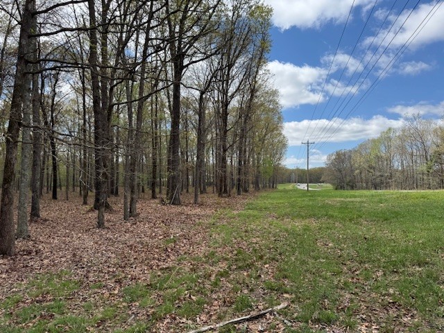 0 Summertown Hwy Property Photo 16