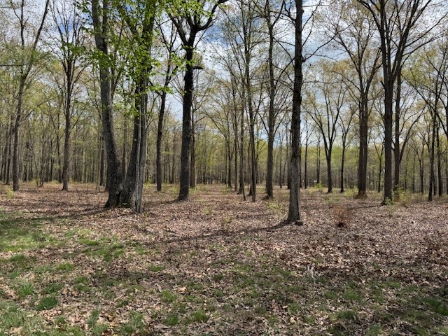 0 Summertown Hwy Property Photo 18
