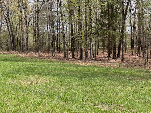 0 Summertown Hwy Property Photo 19