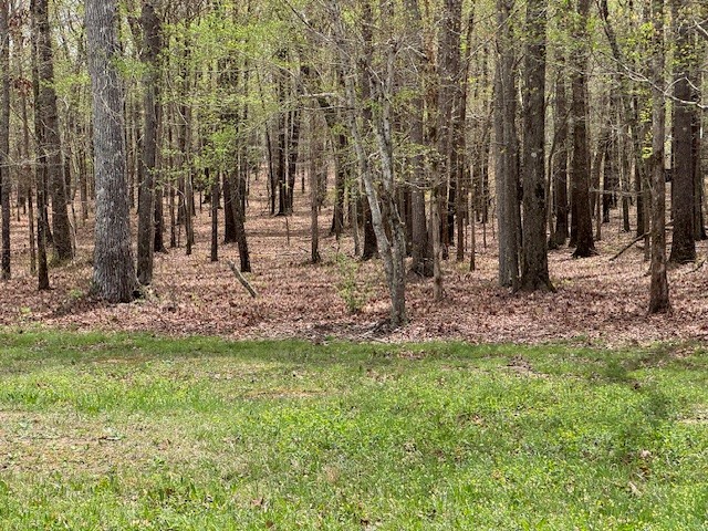 0 Summertown Hwy Property Photo 20