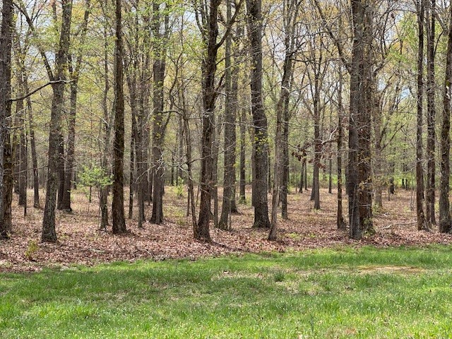 0 Summertown Hwy Property Photo 21