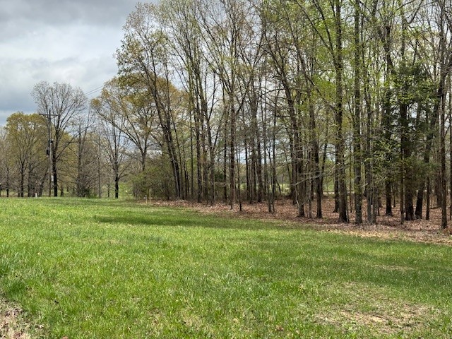 0 Summertown Hwy Property Photo 22