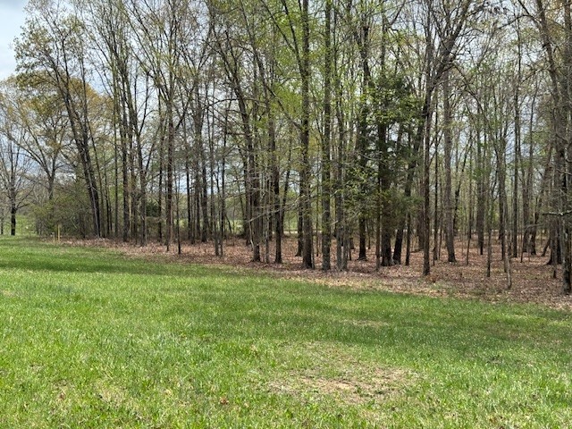 0 Summertown Hwy Property Photo 23
