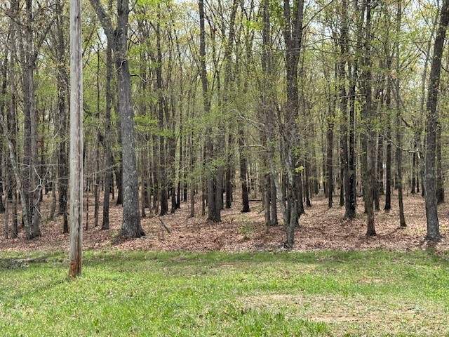 0 Summertown Hwy Property Photo 24
