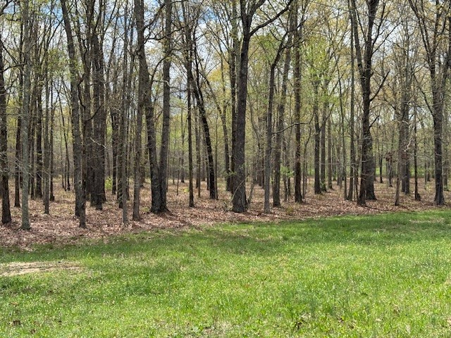 0 Summertown Hwy Property Photo 25