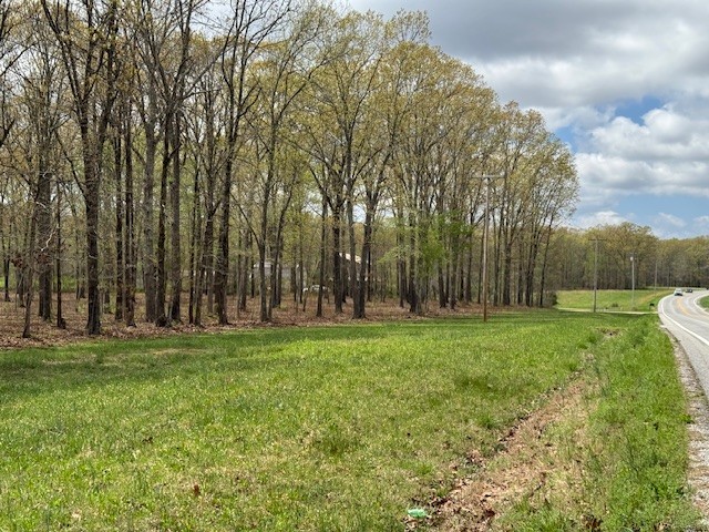 0 Summertown Hwy Property Photo 26