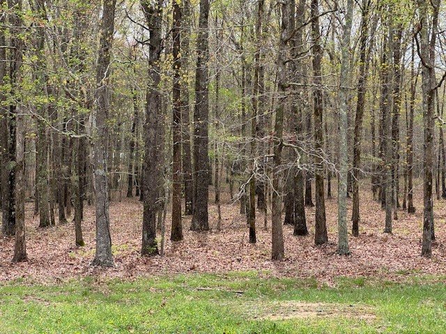 0 Summertown Hwy Property Photo 27