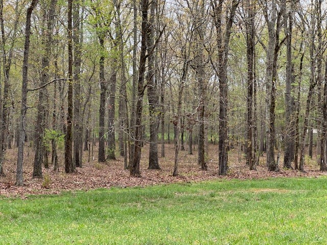 0 Summertown Hwy Property Photo 28