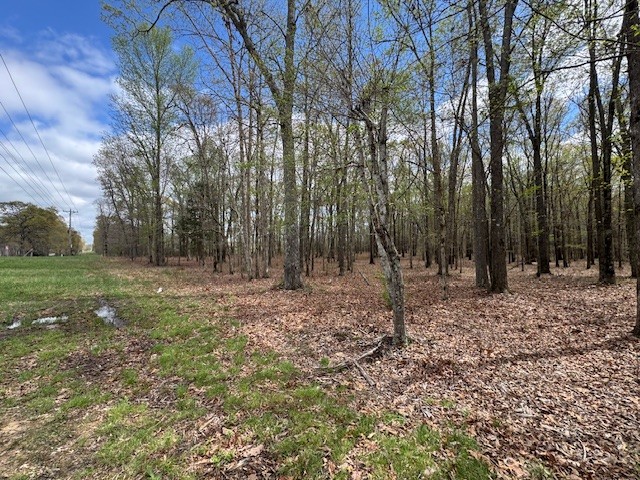 0 Summertown Hwy Property Photo 29