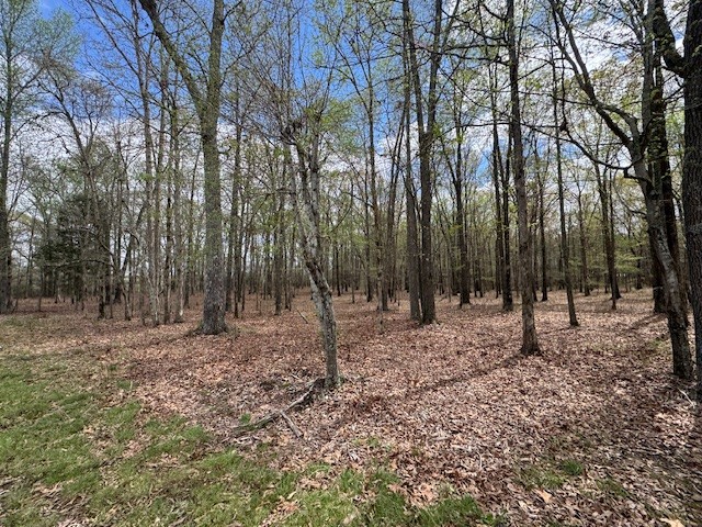 0 Summertown Hwy Property Photo 30