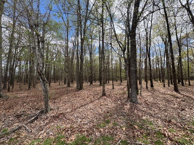 0 Summertown Hwy Property Photo 31