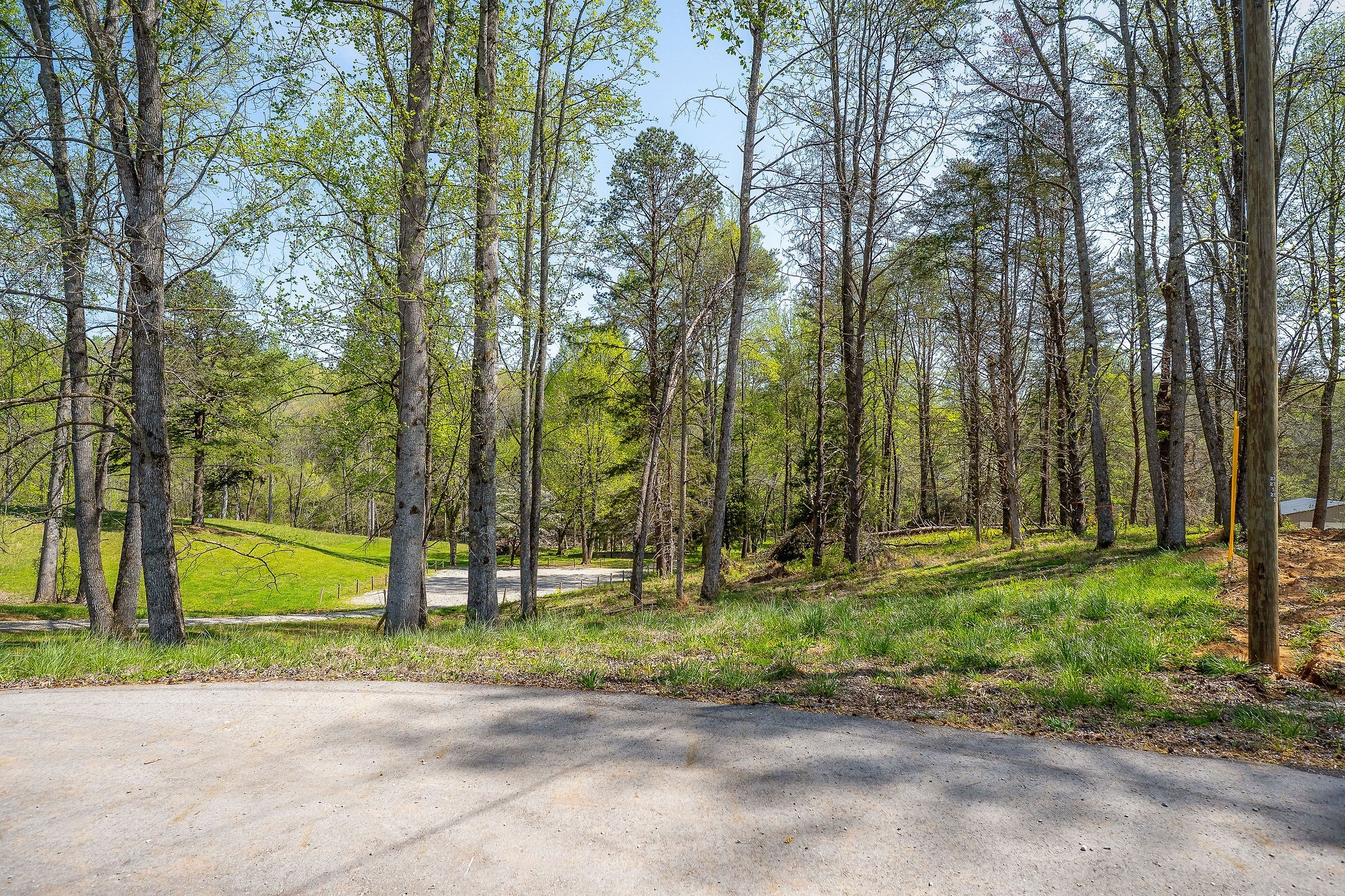65 Anchor Bend Dr Property Photo 12