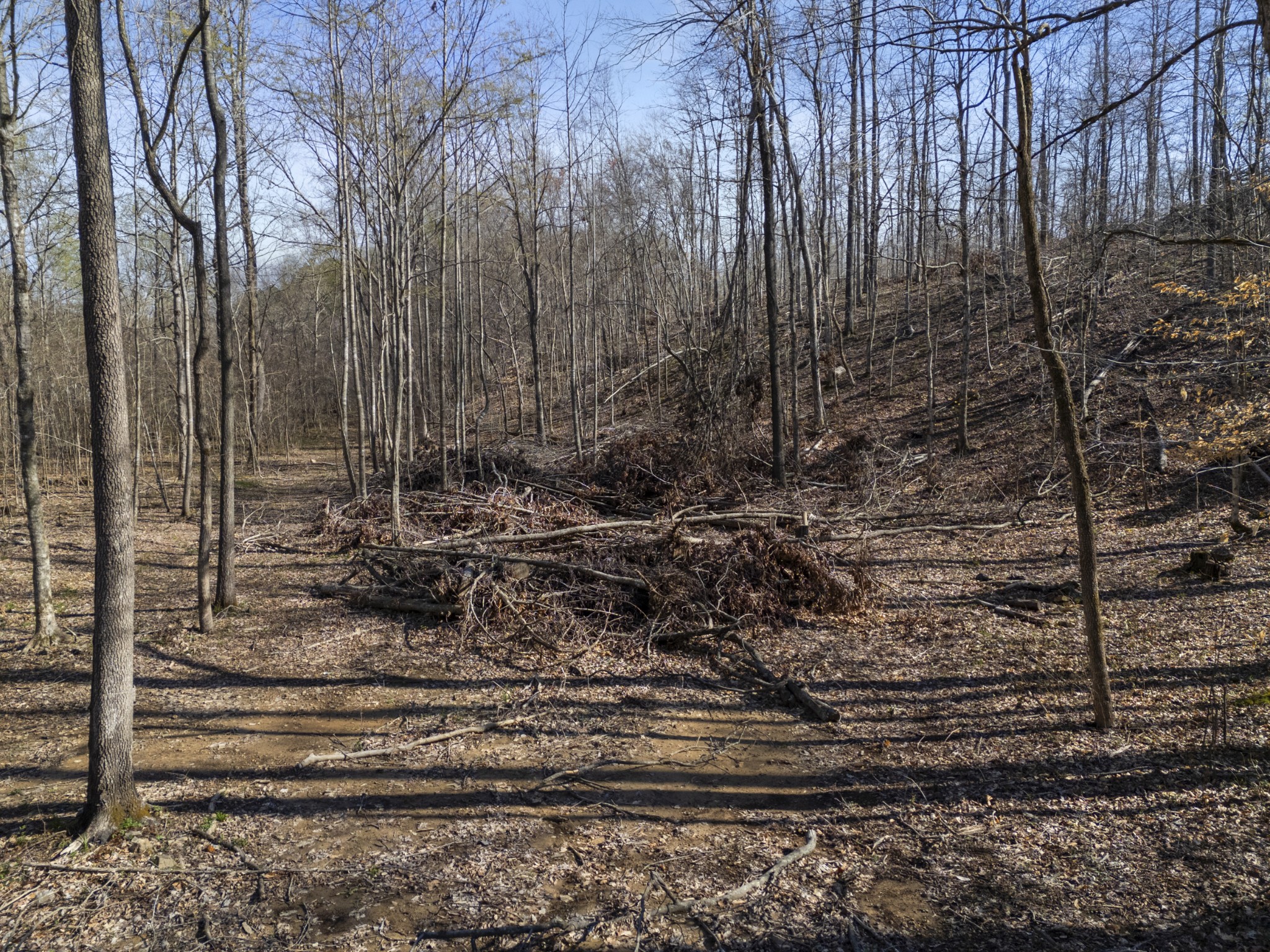 522 Keel Hollow Road Property Photo 10