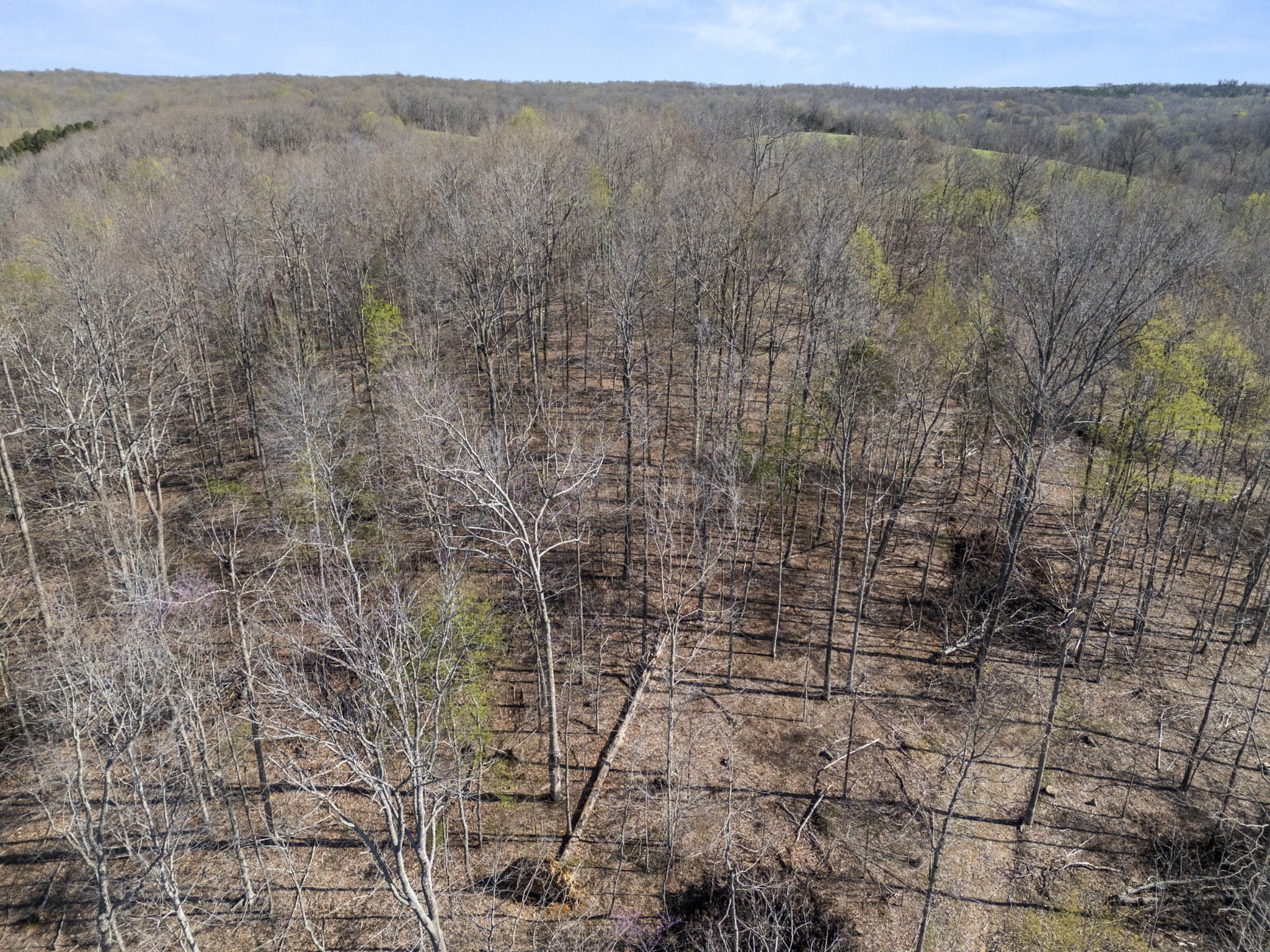 522 Keel Hollow Road Property Photo 13