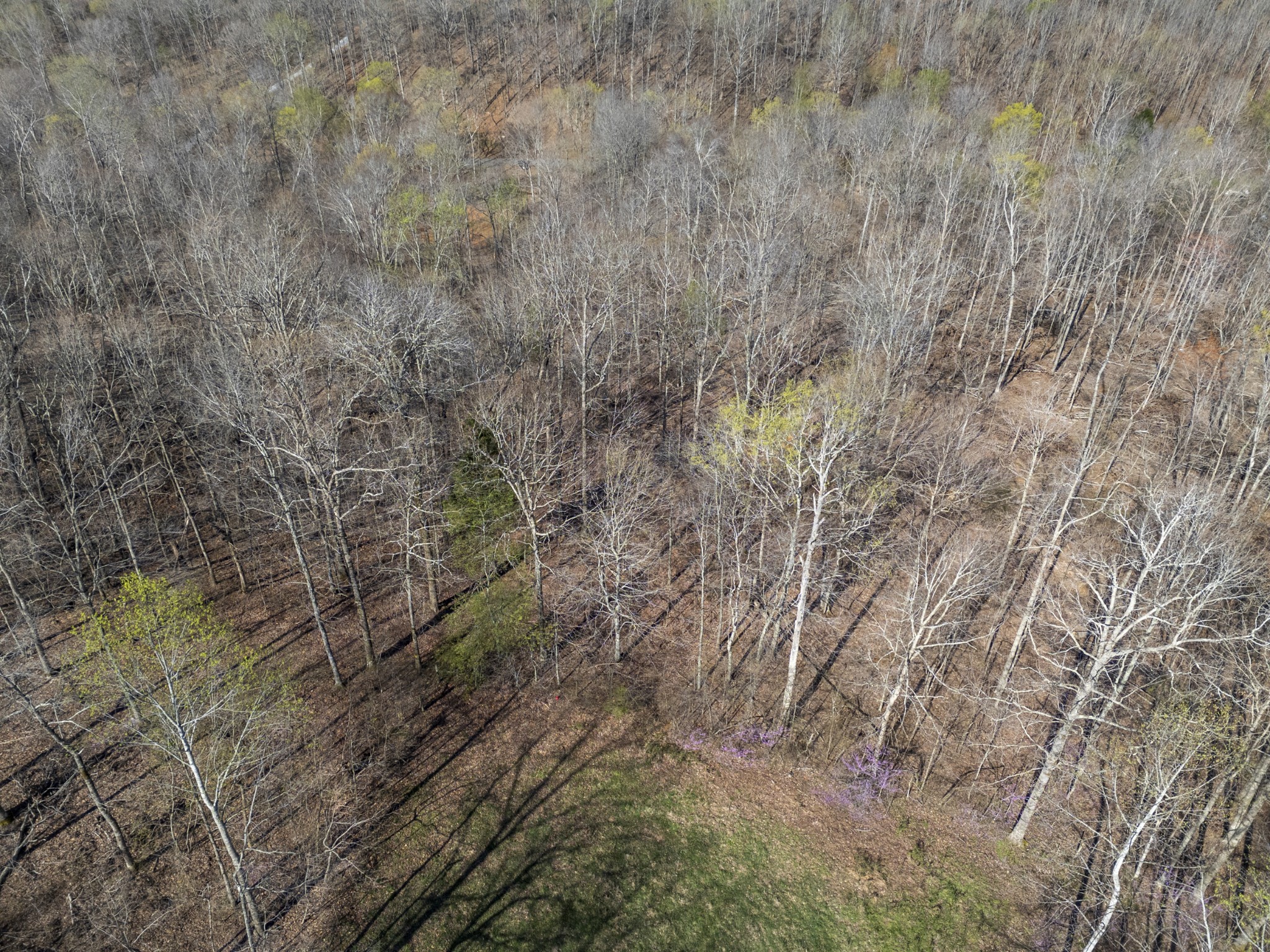 522 Keel Hollow Road Property Photo 14