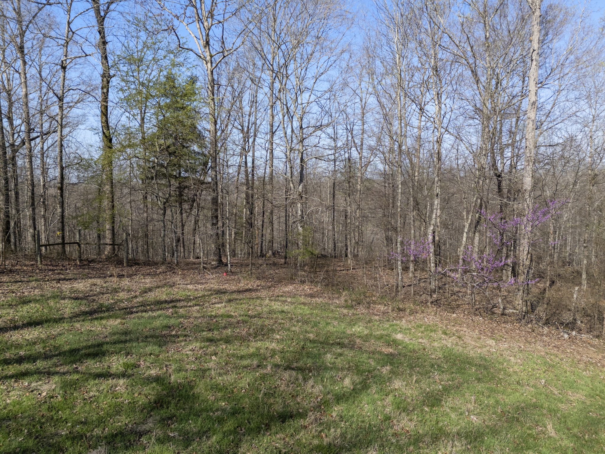 522 Keel Hollow Road Property Photo 15