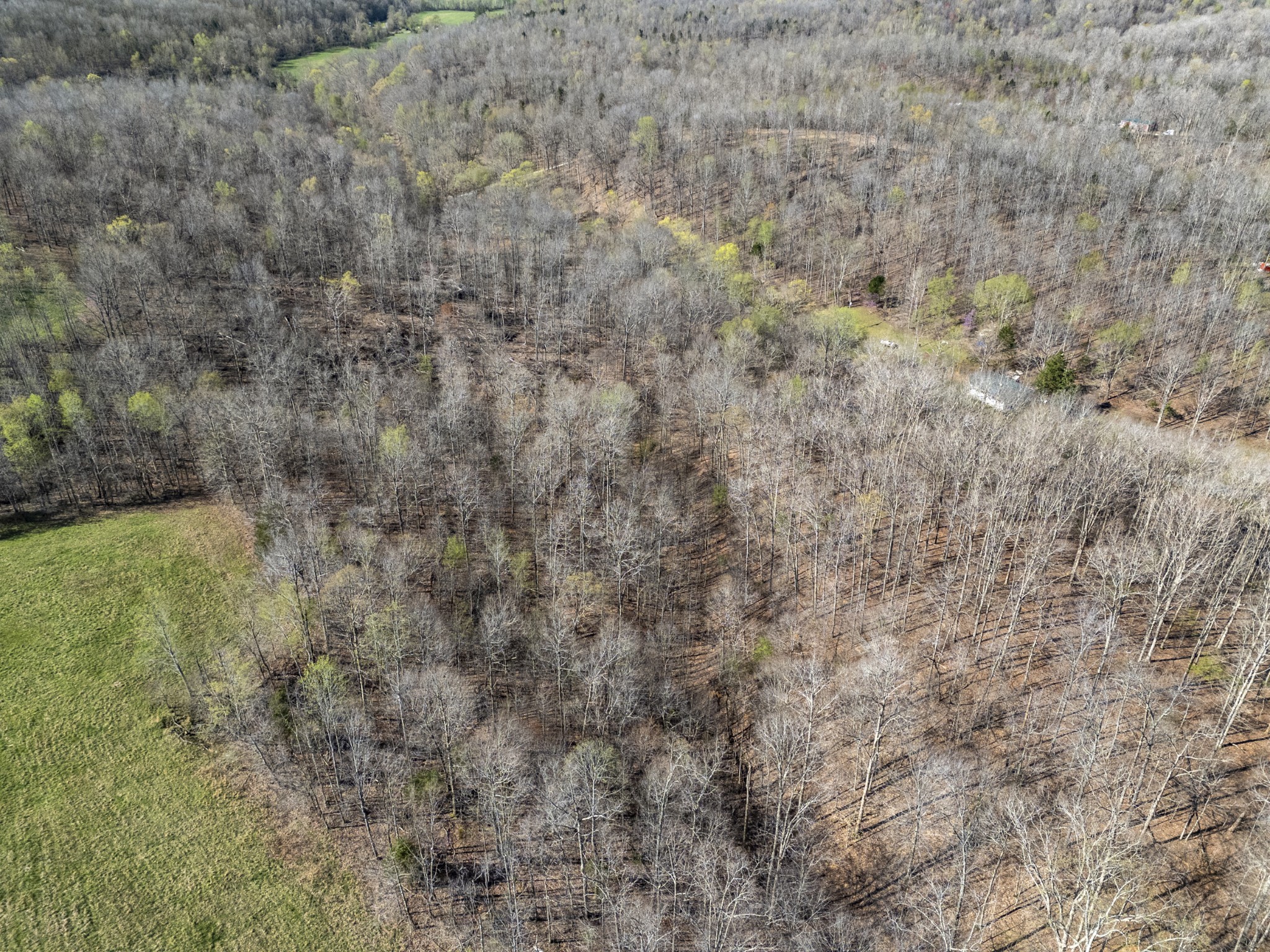 522 Keel Hollow Road Property Photo 16