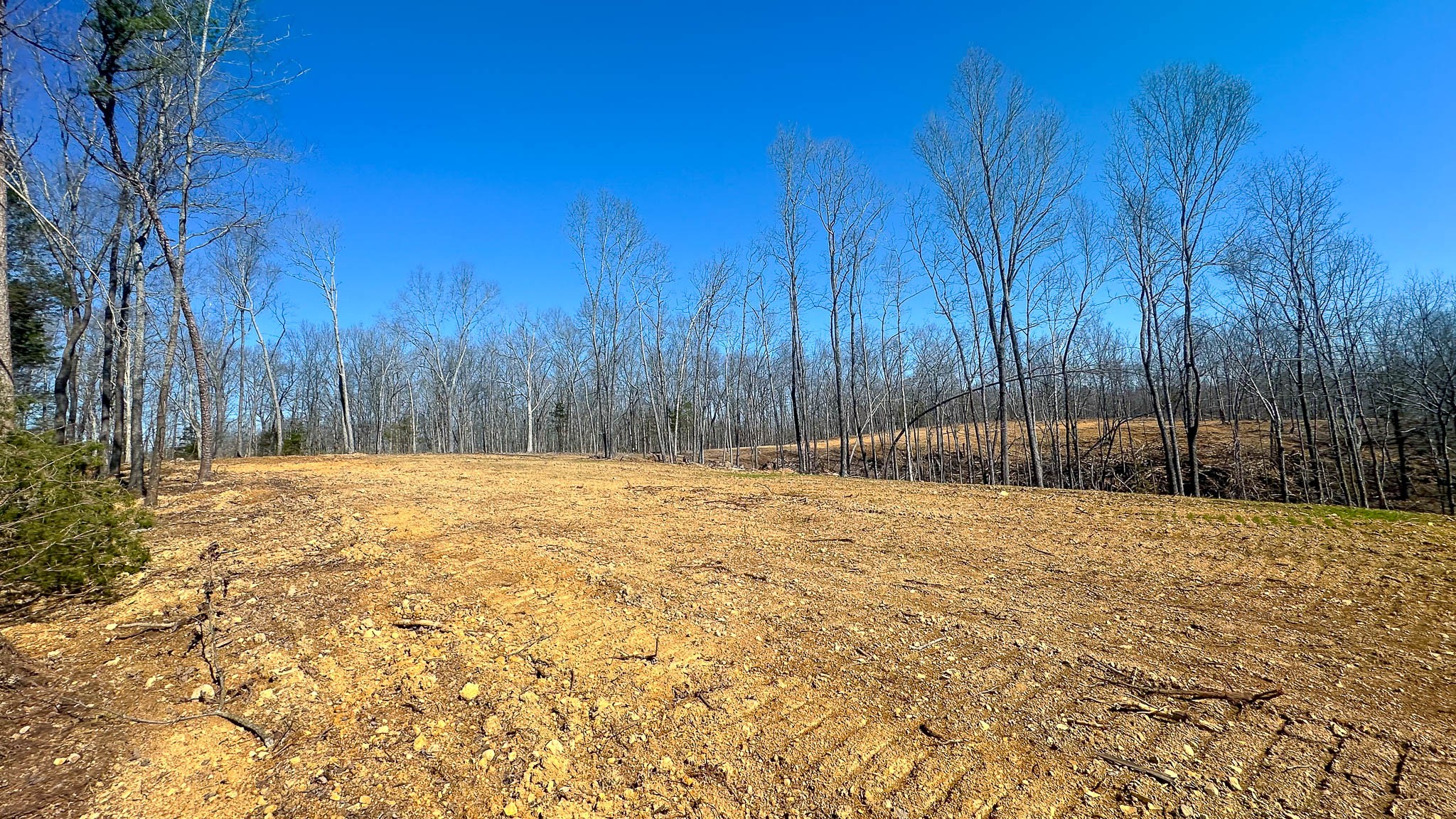 0 Highway 438 Property Photo 3
