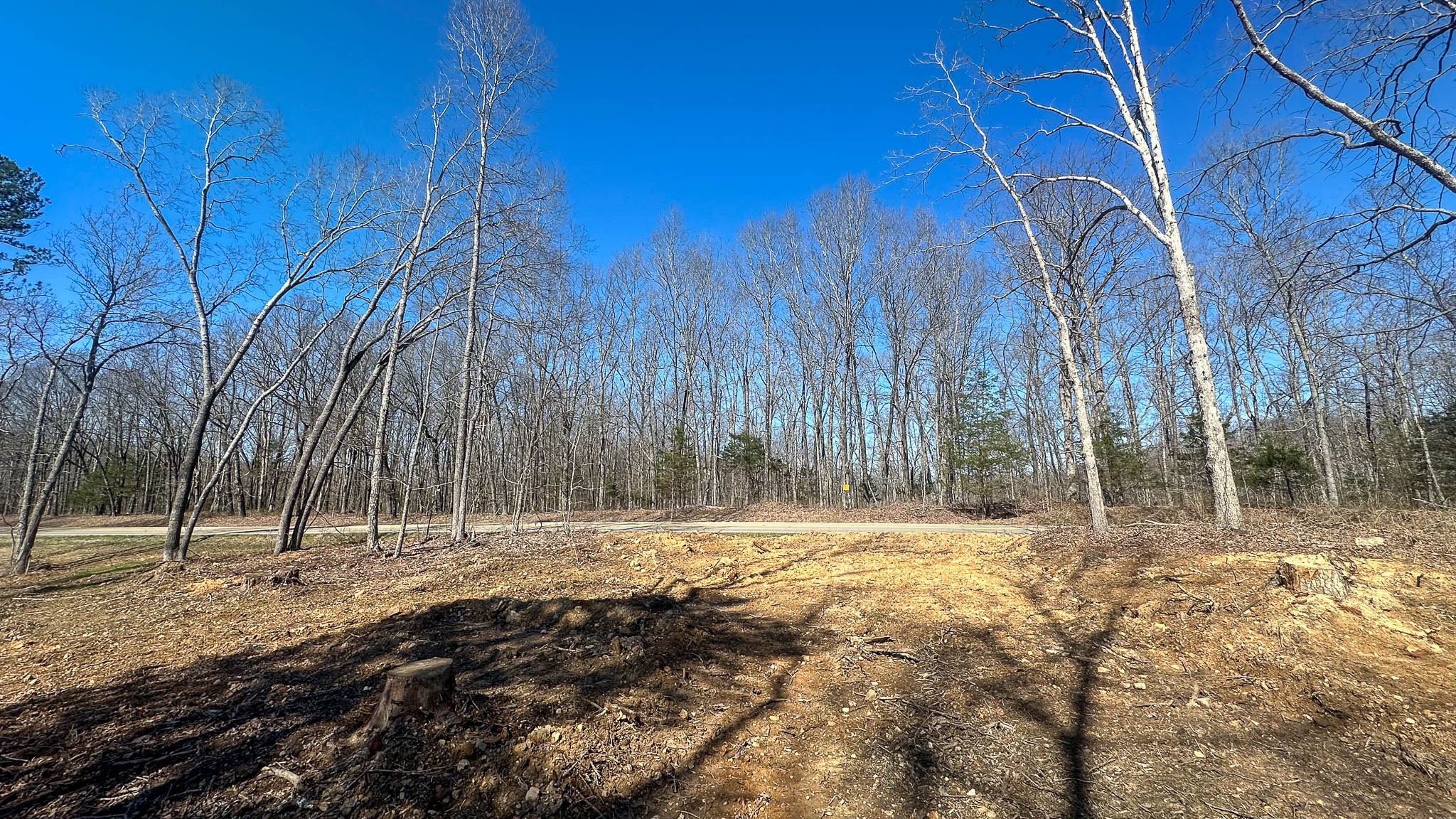 0 Highway 438 Property Photo 4