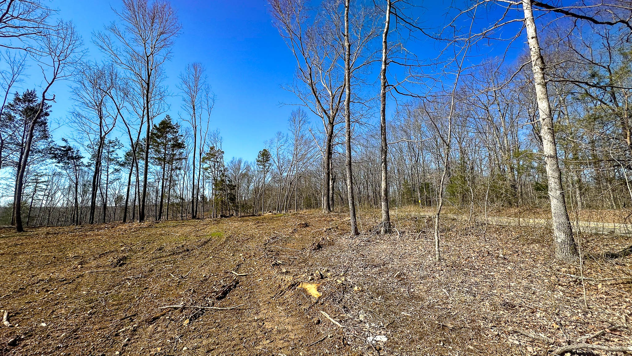0 Highway 438 Property Photo 16