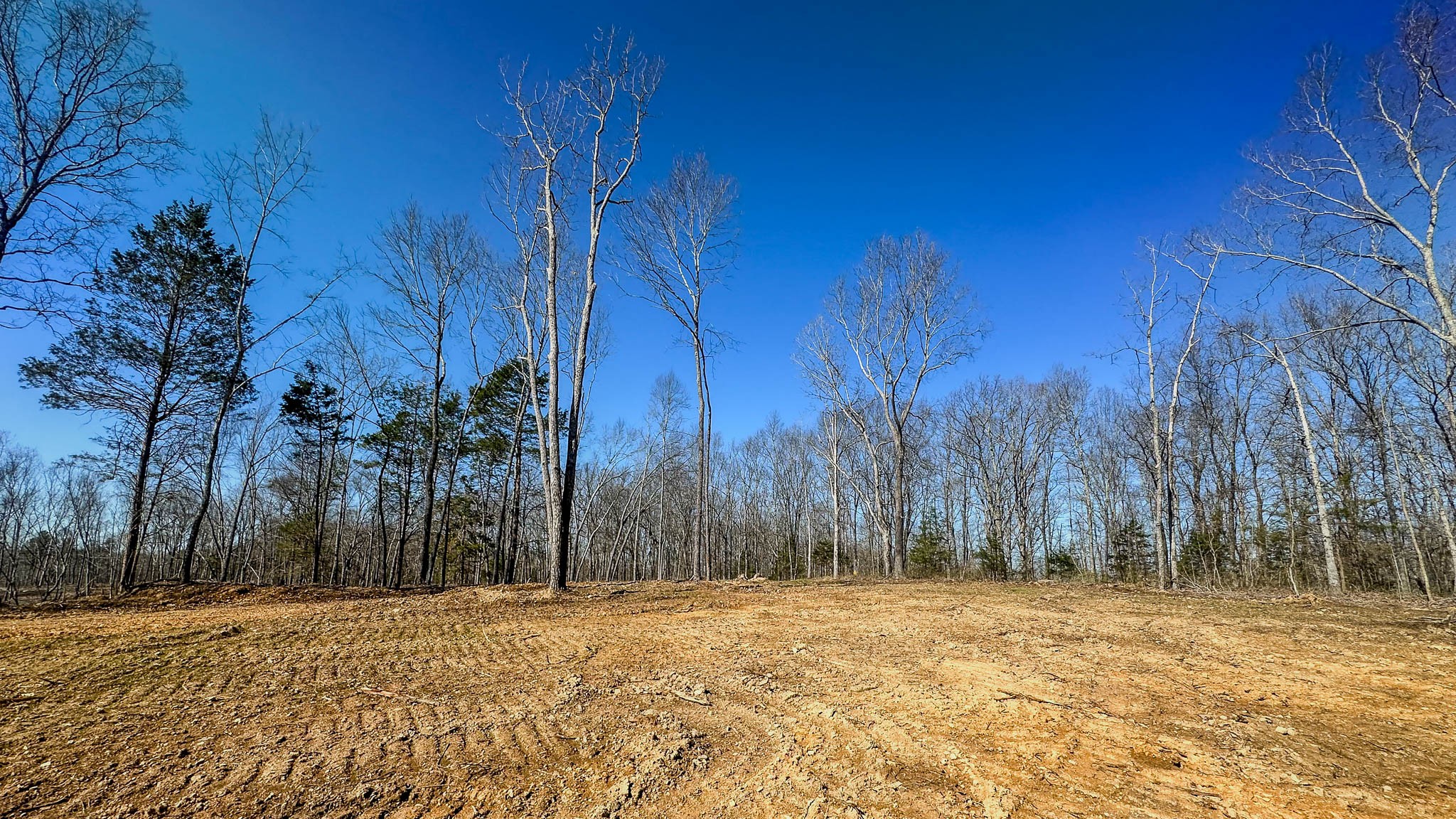 0 Highway 438 Property Photo 18