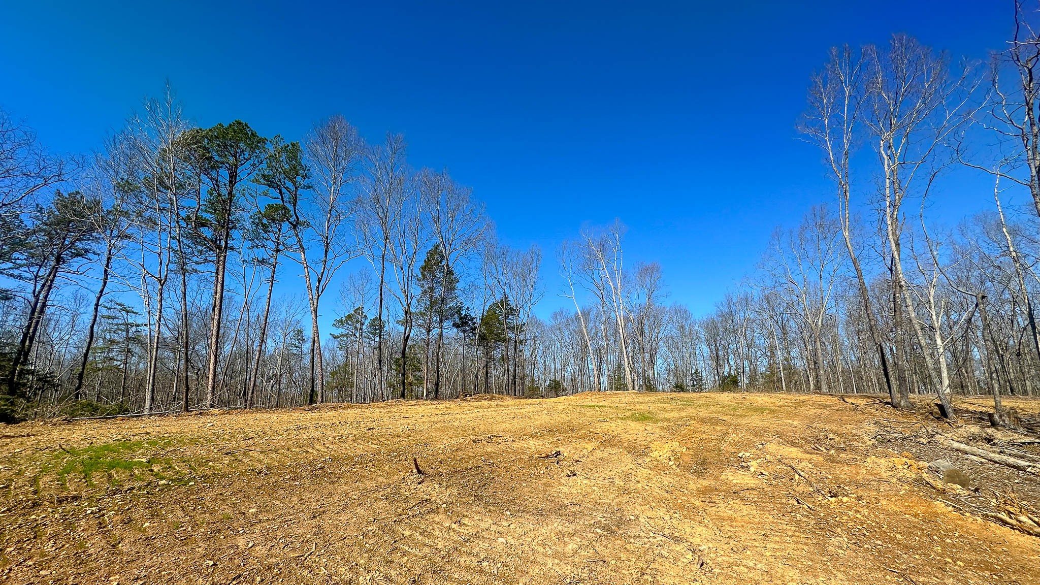 0 Highway 438 Property Photo 20