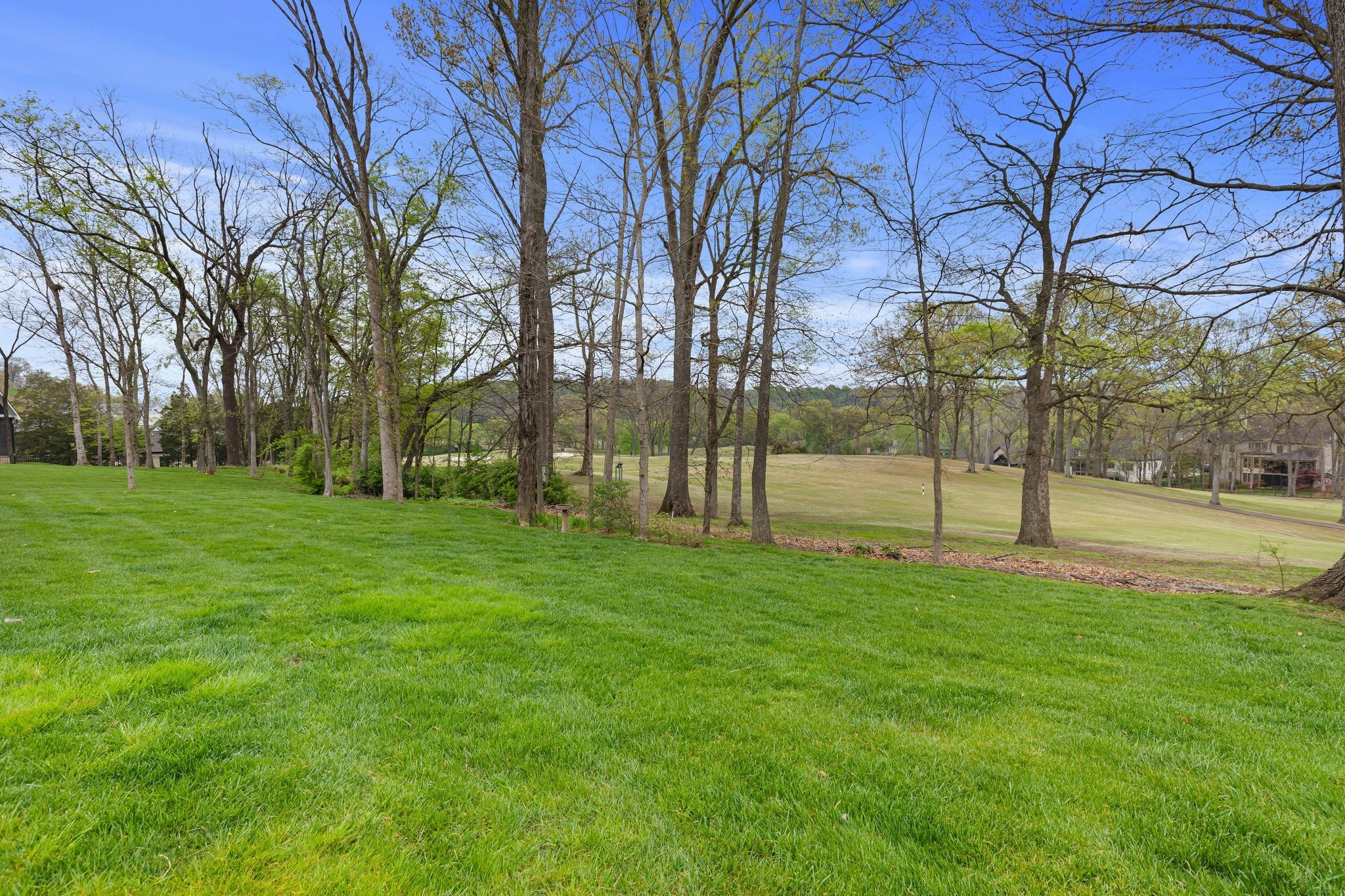 6685 Hastings Ln Property Photo 60