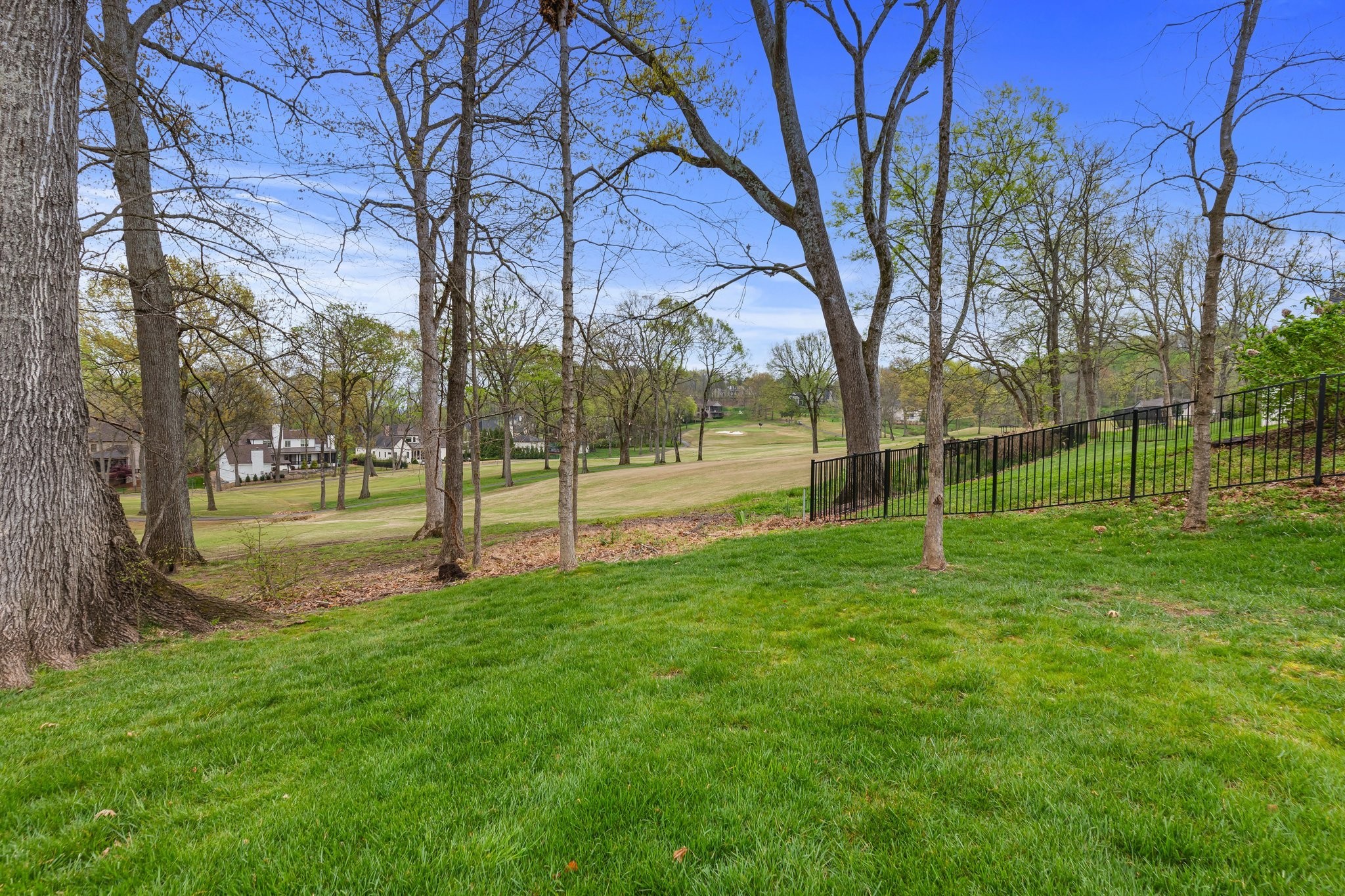 6685 Hastings Ln Property Photo 61