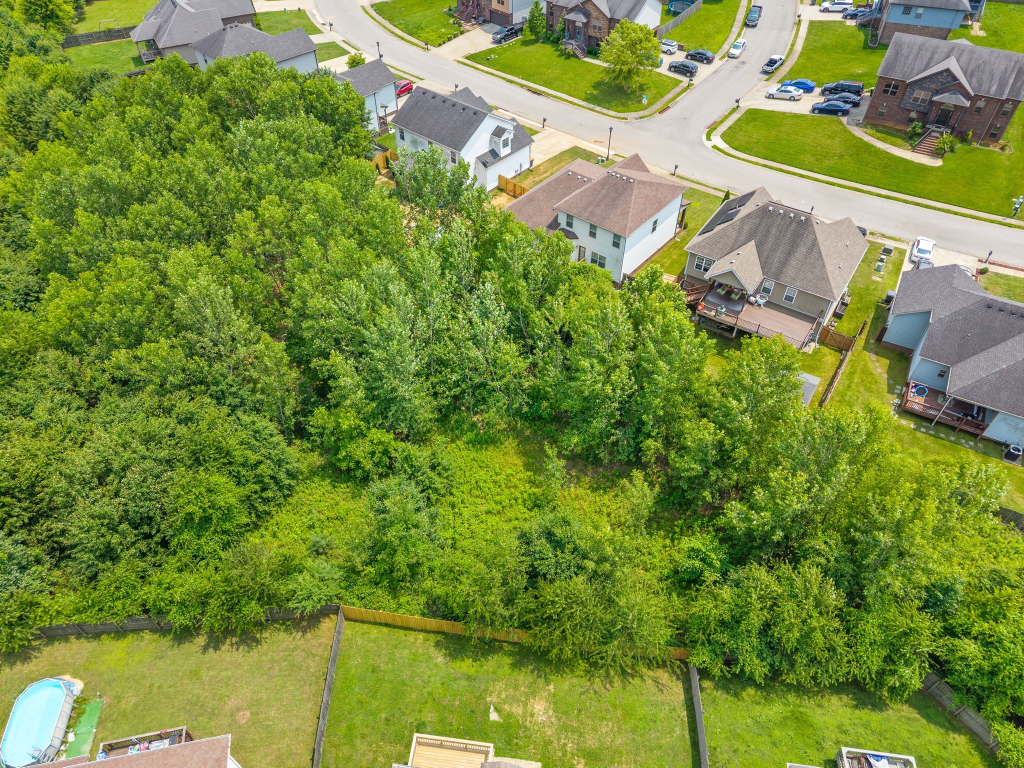1313 Allmon Dr Property Photo 49