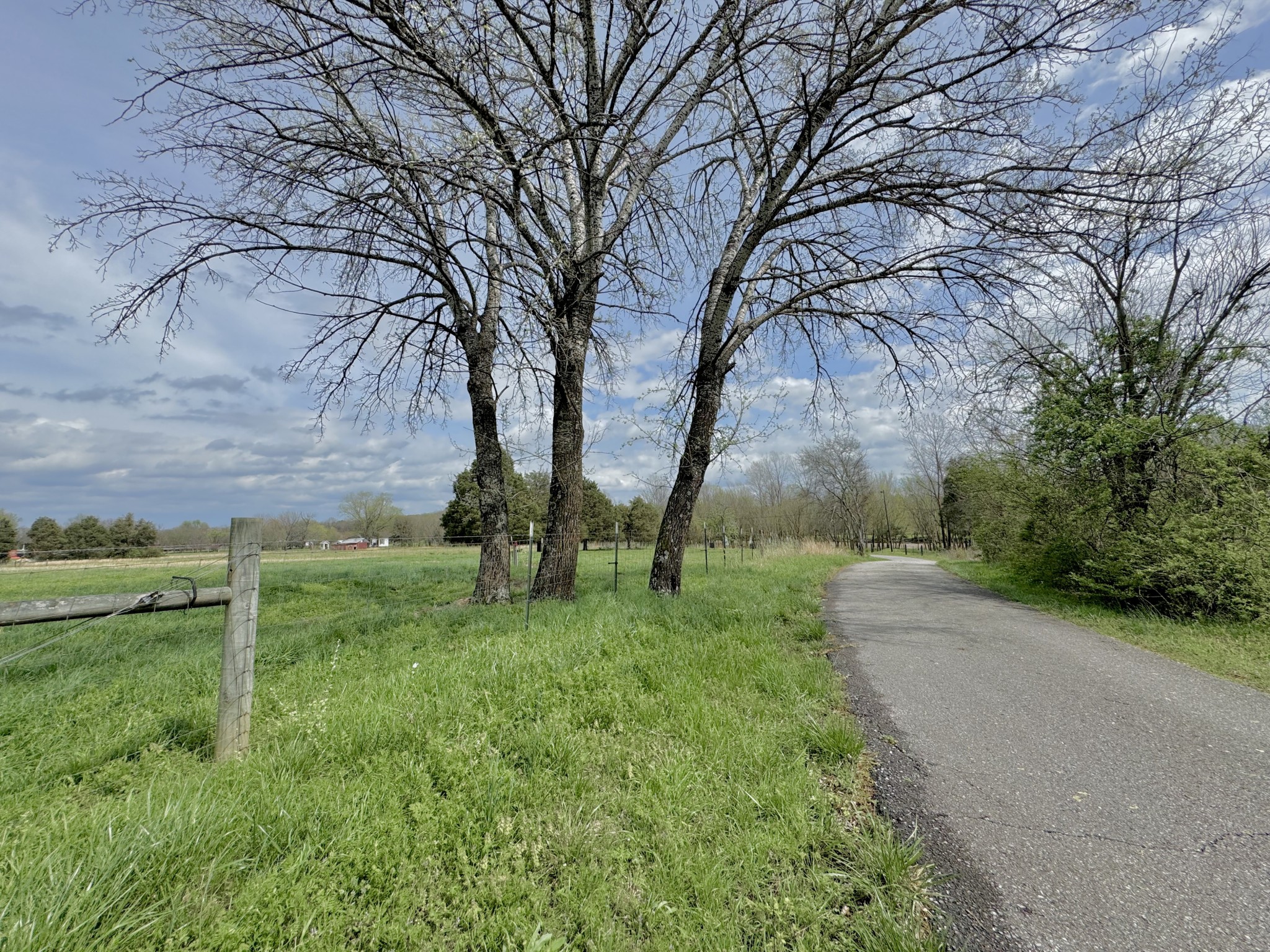 1025 Mill Road Property Photo 2