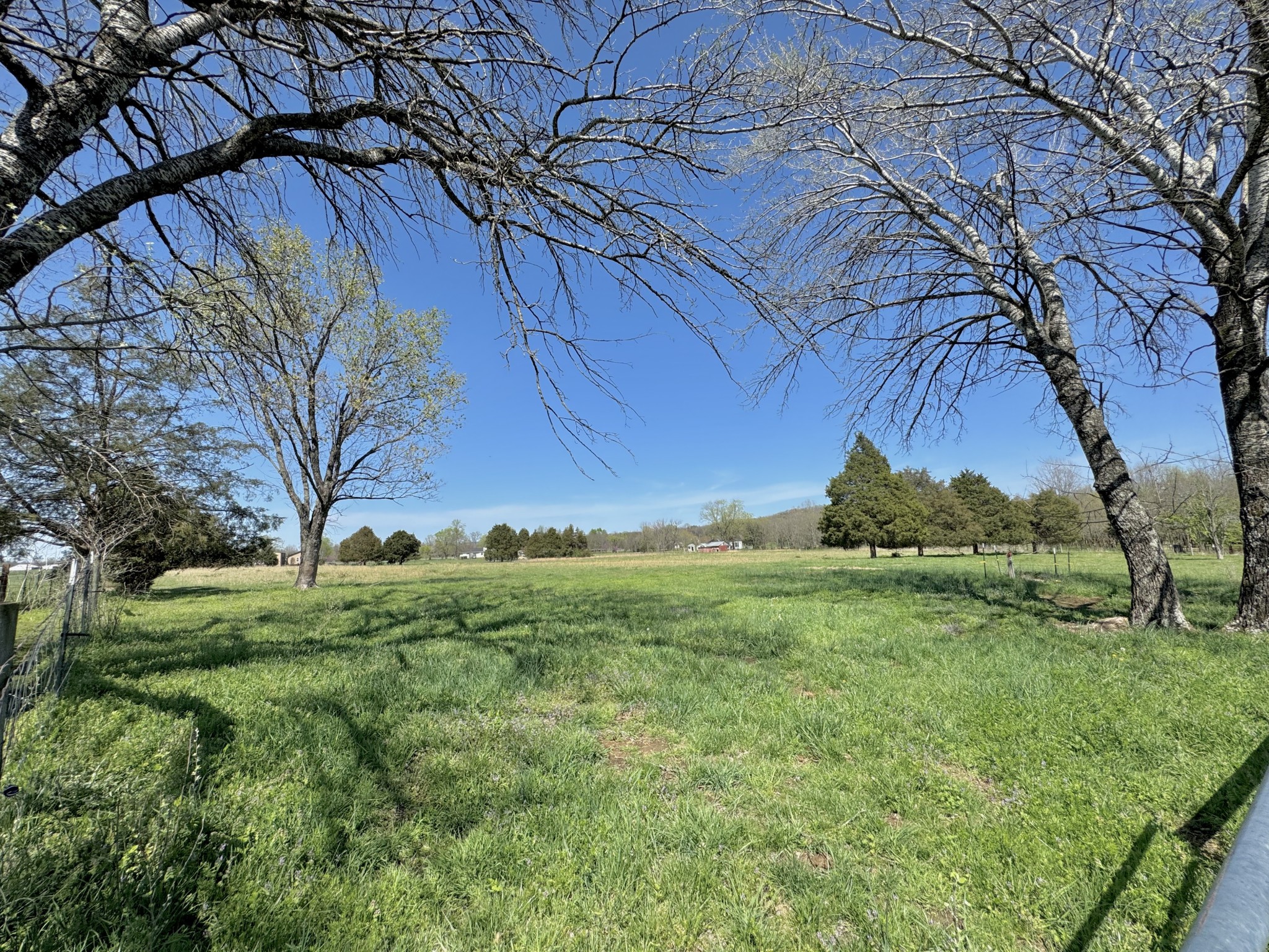 1025 Mill Road Property Photo 3
