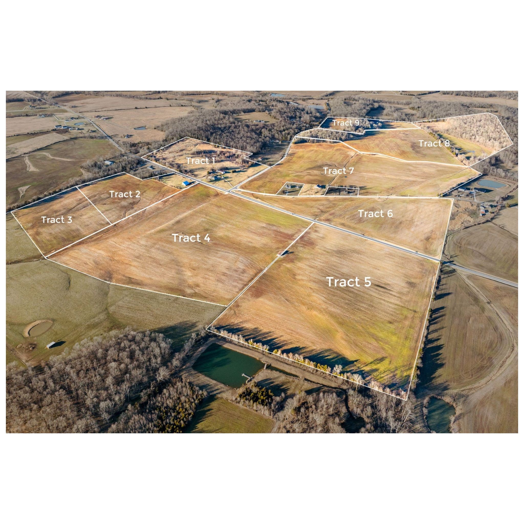 Cerulean Real Estate Listings Main Image