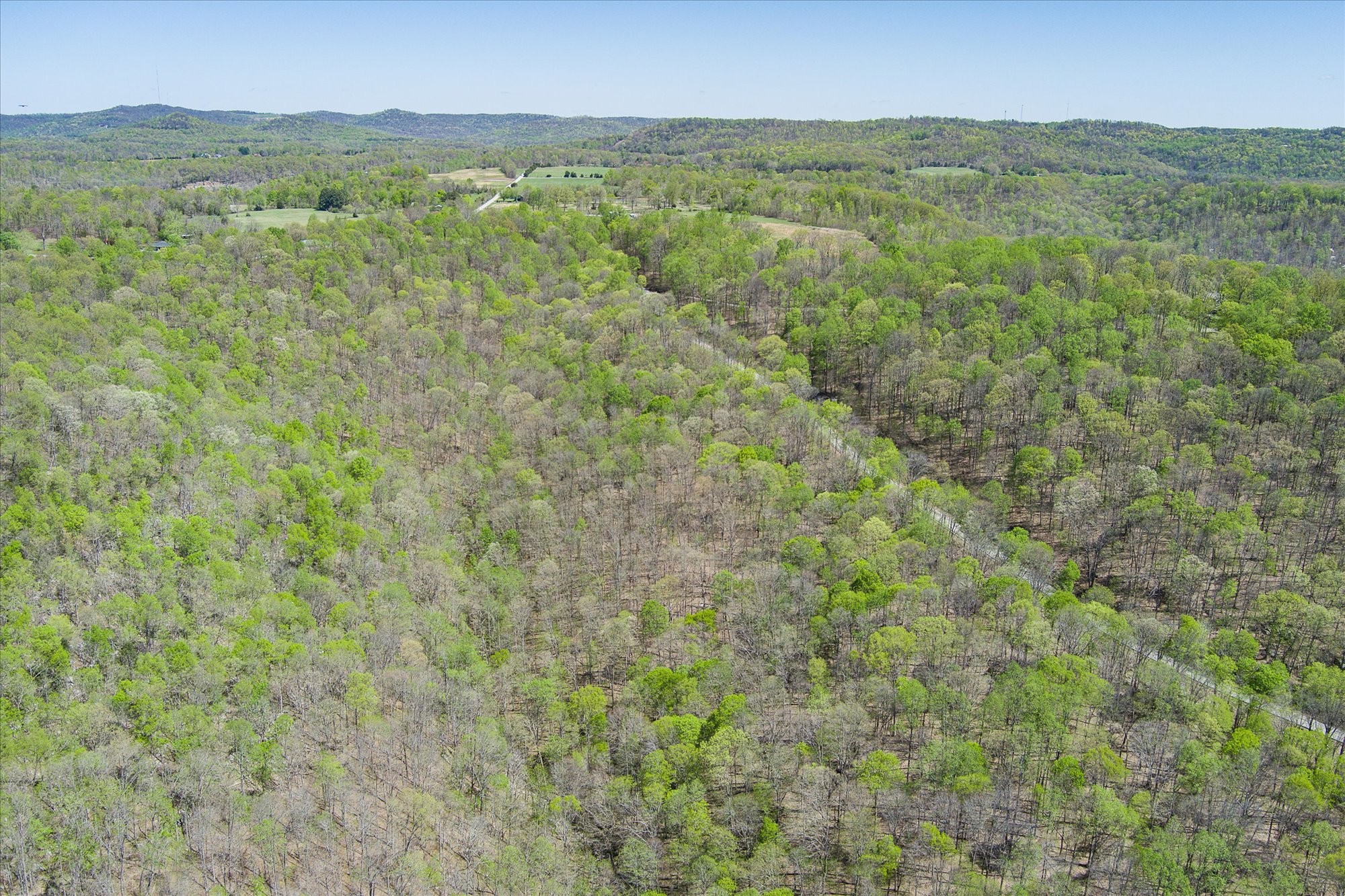 0 Rocky Point Road Property Photo 4