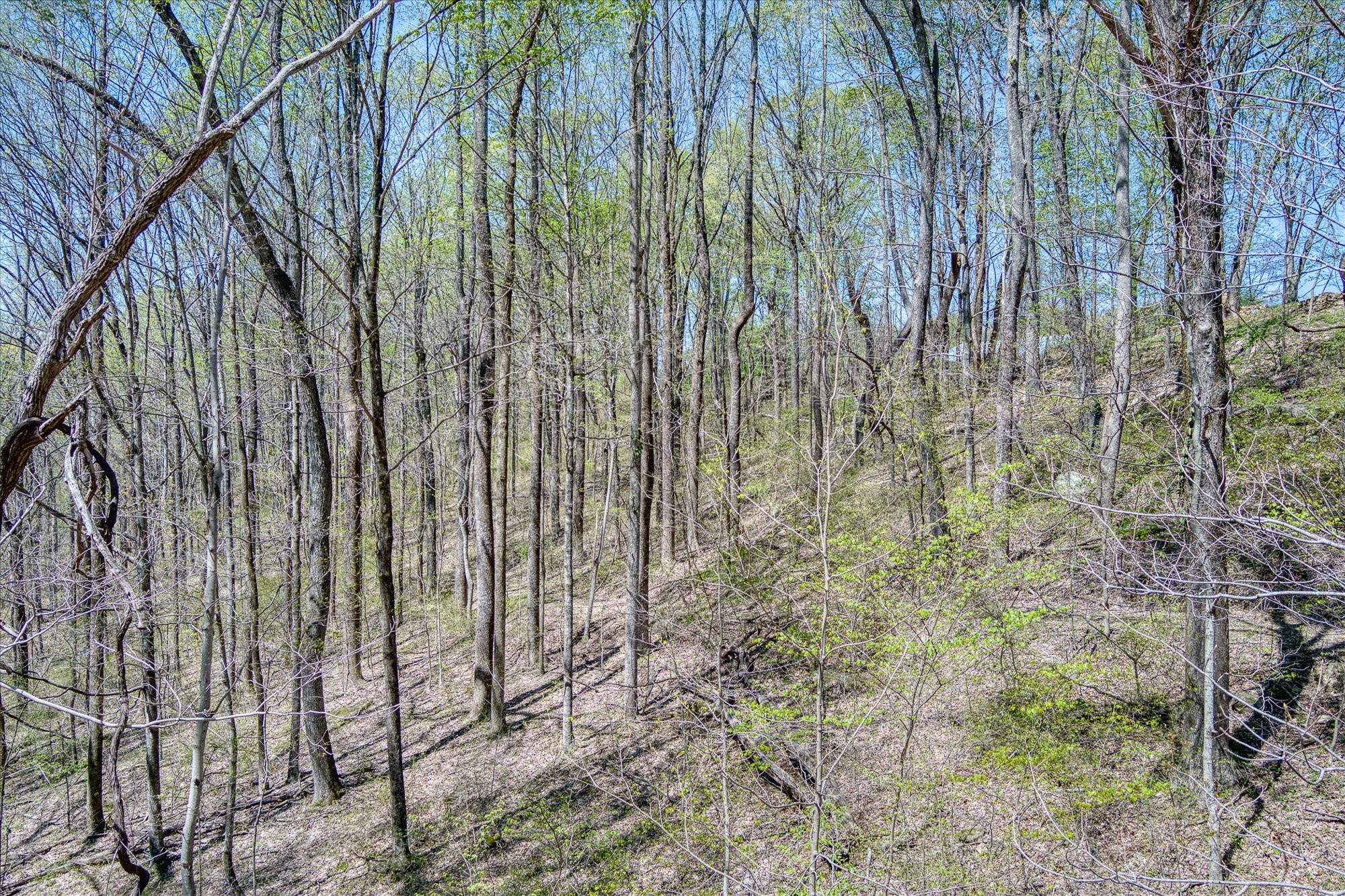 0 Rocky Point Road Property Photo 8