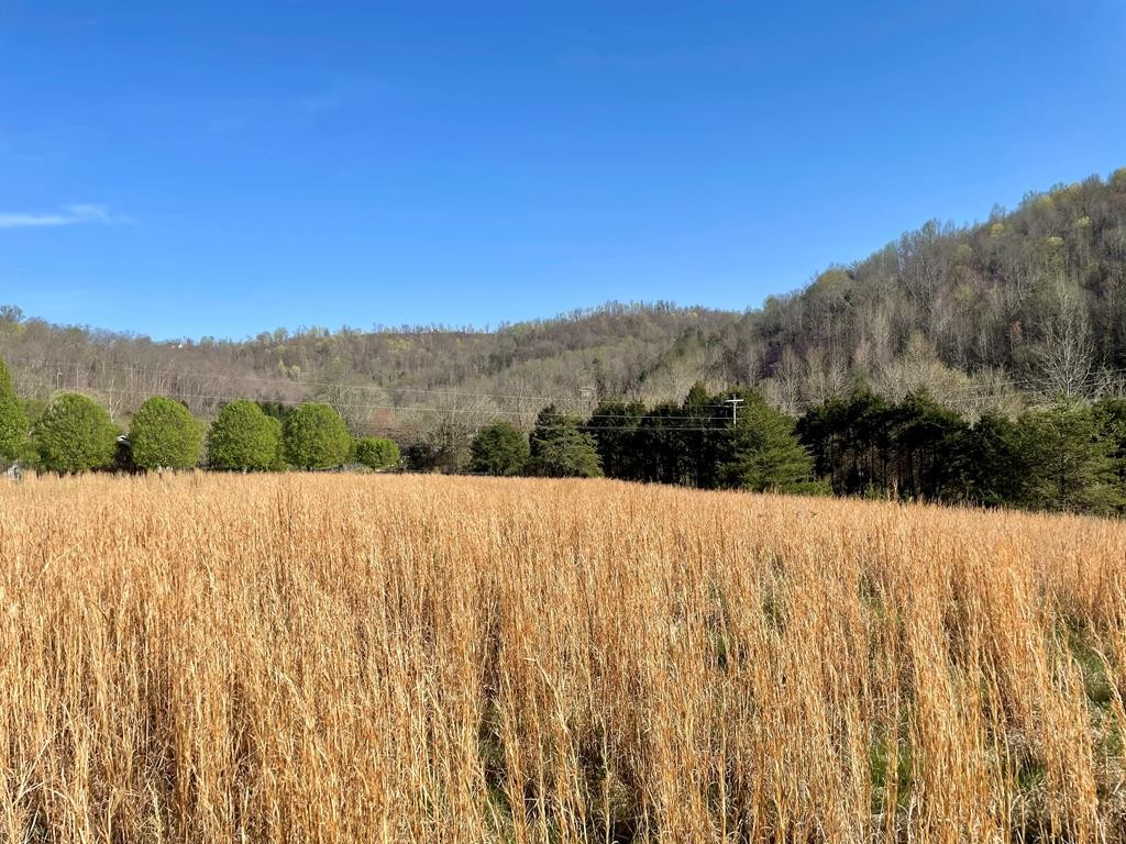 0 Rocky Point Road Property Photo 1