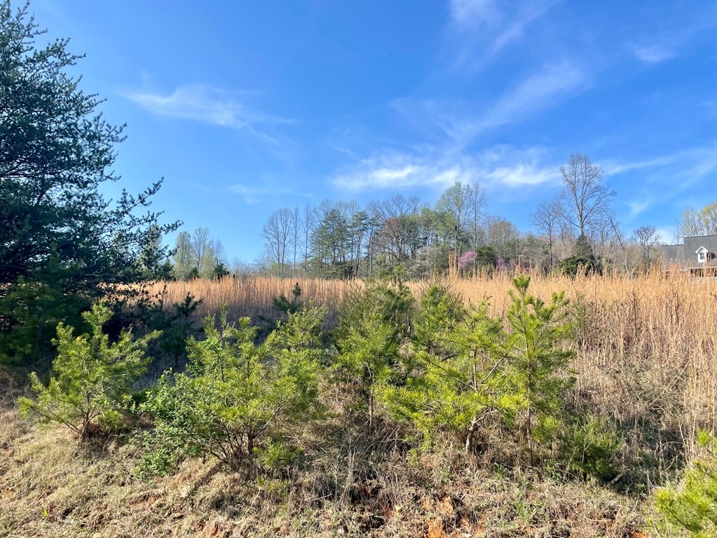 0 Rocky Point Road Property Photo 2