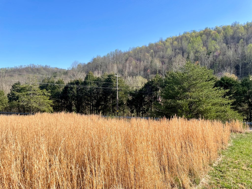 0 Rocky Point Road Property Photo 3