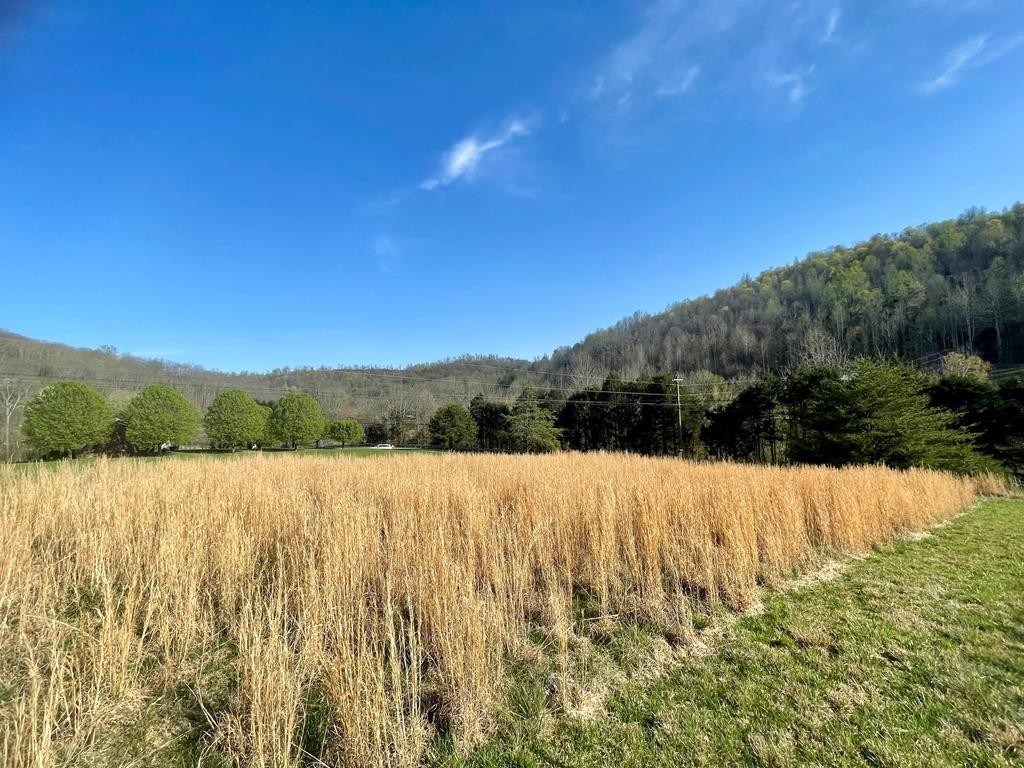 0 Rocky Point Road Property Photo 5
