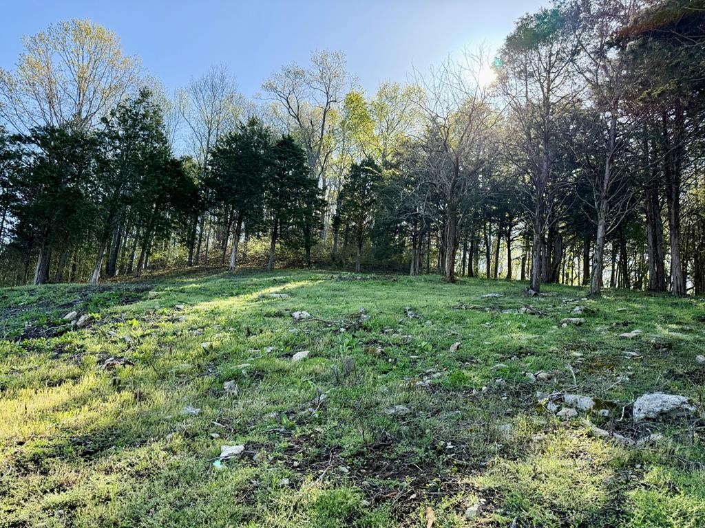 84 Harbor Pointe Drive Property Photo 3