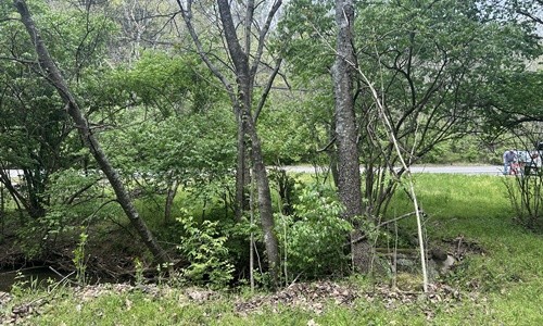 7941 Charlotte Pike Property Photo 3