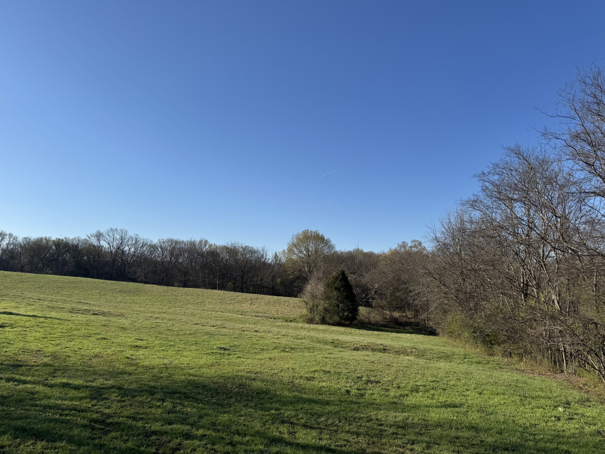 603 Palmer Rd Property Photo 12